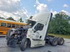 2019 Freightliner 2019 Suzuki Cascadia 125 Semi Truck