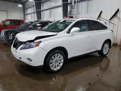 Salvage cars for sale from Copart Ham Lake, MN: 2010 Lexus Rx 450h Base