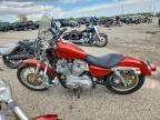 2005 Harley-Davidson XL883 L