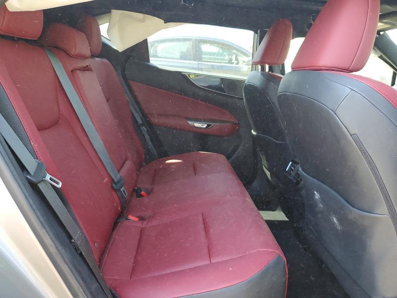 2025 Lexus Nx 350 Base