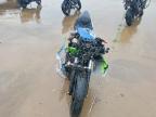 2024 Kawasaki EX500 H