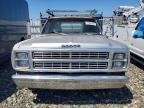1979 Dodge Pickup