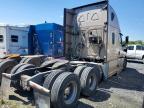 2019 Freigliner Cascadia 126