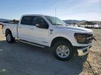 2025 Ford F150 XLT