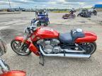 2013 Harley-Davidson Vrscf Vrod Muscle