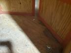 2018 Homesteader 612PS Enclosed Cargo Trailer