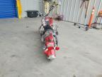 2001 Harley-Davidson Flstci
