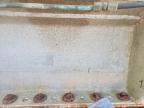 1969 Butler 1969 Urwi DRY Bulk Trailer-Pneumatic DRY Bulk TR