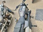 2023 Harley-Davidson RH1250 S