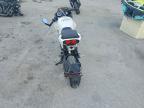 2024 Cf Moto Papio SS