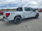 2025 Ford F150 XLT