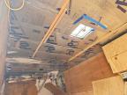 2025 Steel Pines C Argo 8.5X28TA5 GN Enclosed Cargo Trailer