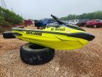 2019 Seadoo 2019 SEA-DOO Rxpx 300-Boat