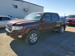 Salvage cars for sale from Copart Tucson, AZ: 2011 Honda Ridgeline RTS