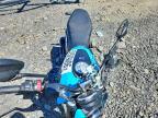 2025 Ducati Scrambler Icon