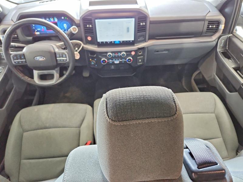 2025 Ford F150 XLT