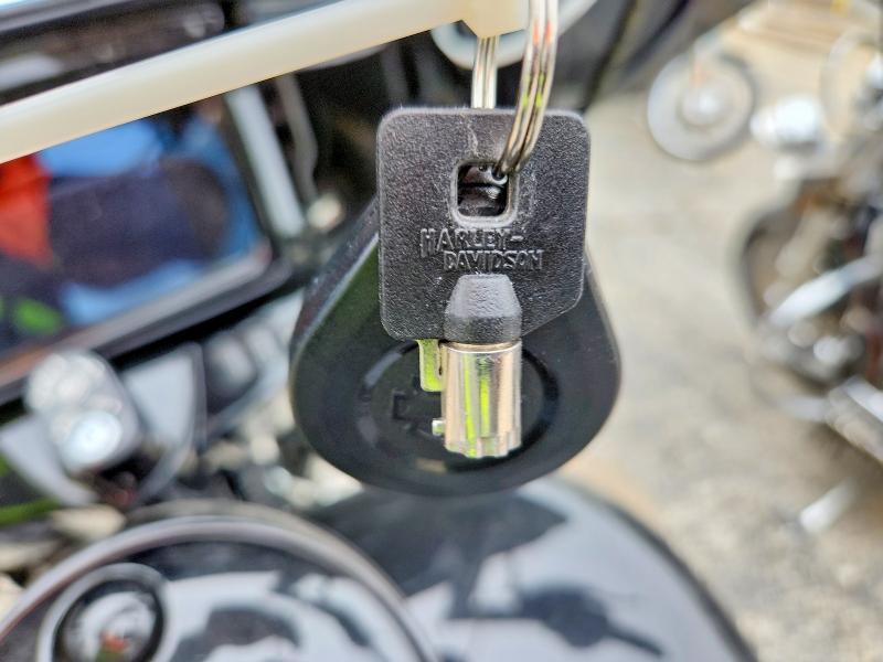 2019 Harley-Davidson Flhxs