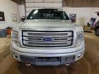 2014 Ford F150 Platinum