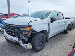 Salvage Trucks for sale at auction: 2023 Chevrolet Silverado C1500