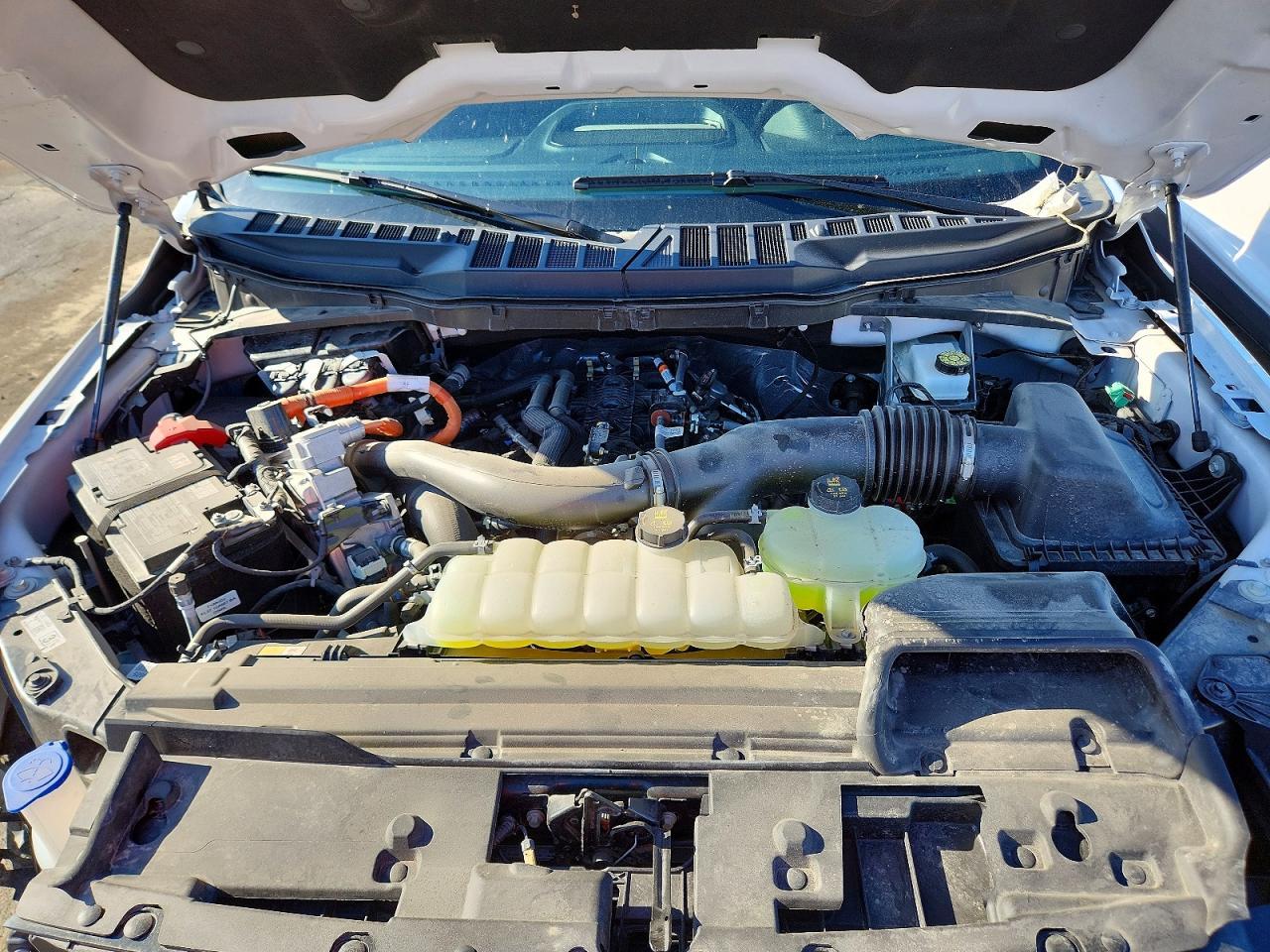2025 Ford F150 XLT