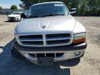 2001 Dodge Dakota Quattro