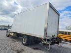 2019 International MV607 BOX Truck
