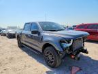 2025 Ford F150 XLT