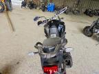 2021 Triumph Tiger 900 GT PRO