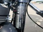 2019 Harley-Davidson XL1200 NS