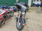 2001 Harley-Davidson Flstci