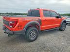2021 Ford F150 Raptor