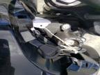 2024 Triumph Trident 660
