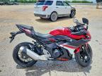 2019 Suzuki GSX250R M