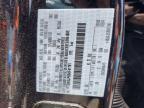 2025 Ford F150 STX