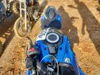 2024 Suzuki GSX800 F