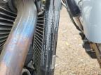 2019 Harley-Davidson Flsb