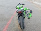 2025 Kawasaki Ninja ZX 10R