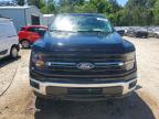 2025 Ford F150 XLT
