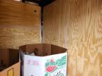 2025 Interstate Enclosed Cargo Trailer
