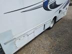 2024 Nexus Triumph RV