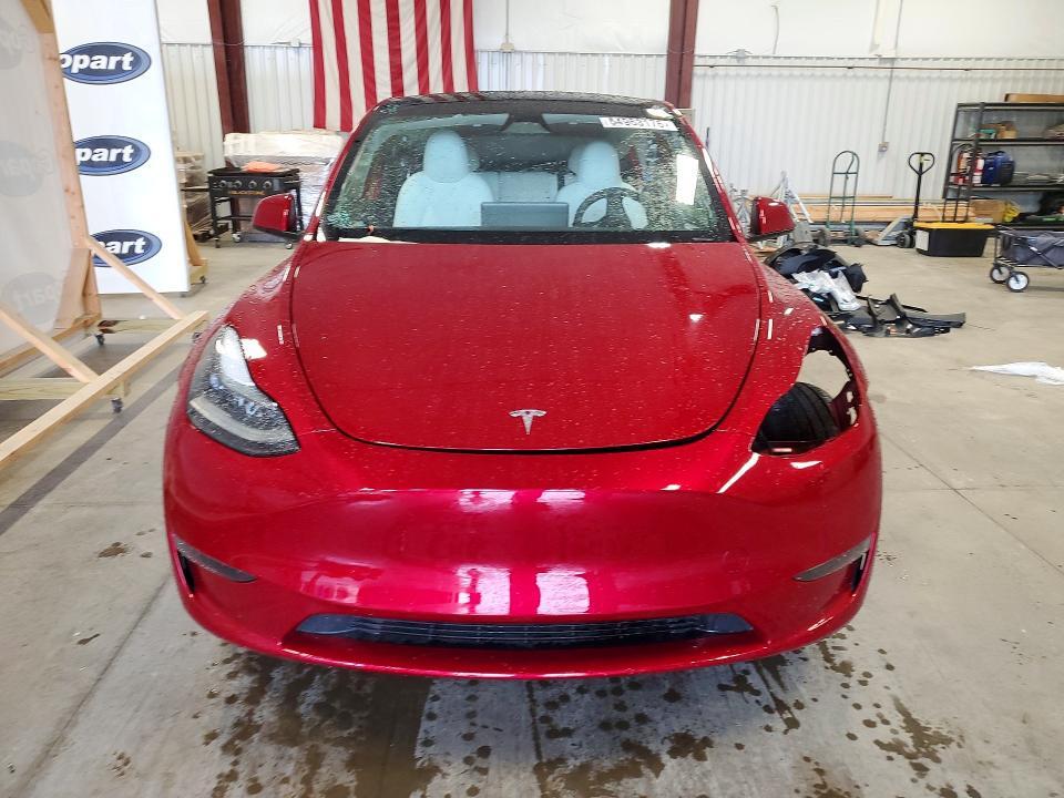 2025 Tesla Model y