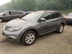 Nissan Murano salvage cars for sale: 2013 Nissan Murano S