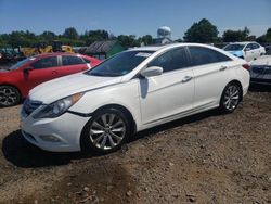 Hyundai Vehiculos salvage en venta: 2013 Hyundai Sonata SE