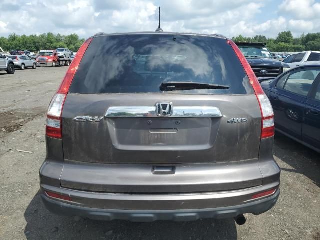 2010 Honda CR-V EXL