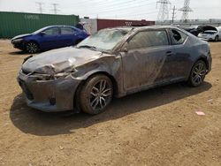 Salvage cars for sale from Copart Dyer, IN: 2014 Scion TC