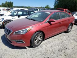 2015 Hyundai Sonata SE for sale in Arlington, WA