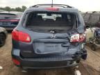 2007 Hyundai Santa FE SE