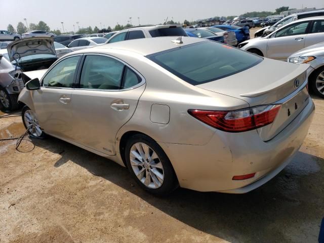 2013 Lexus ES 300H