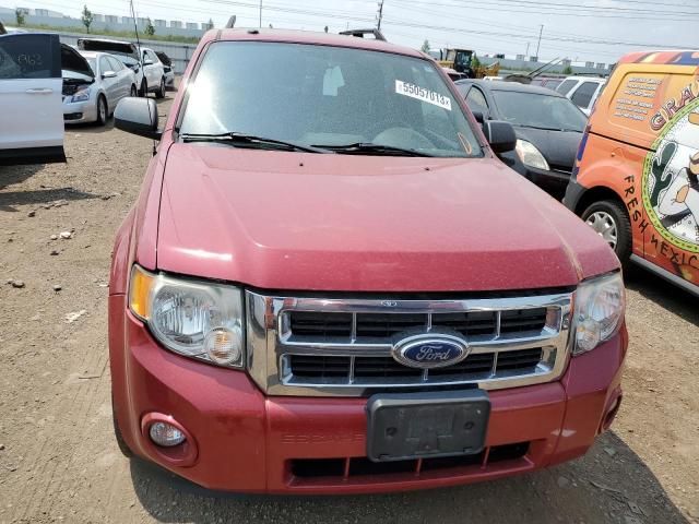 2011 Ford Escape XLT