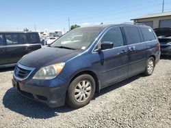 Honda Odyssey ex salvage cars for sale: 2009 Honda Odyssey EX